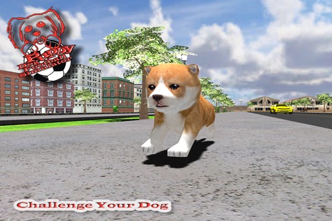 My Cute Pet Dog Puppy Football Simulator screenshot 2