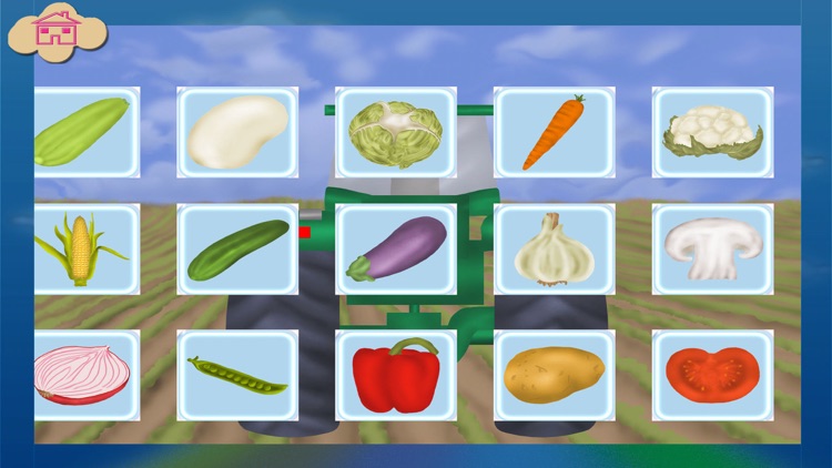 Vegetables Puzzle Pieces