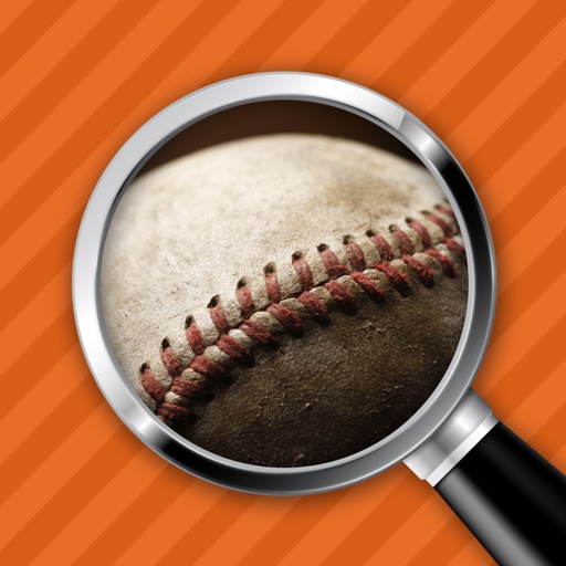 Close-up & Words - Baseball Edition