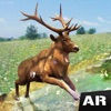 AR Safari - Forest Adventure