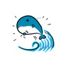 Cute Baleen Whale - Stickers