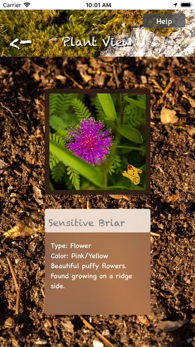 Plant-Catalog screenshot 2