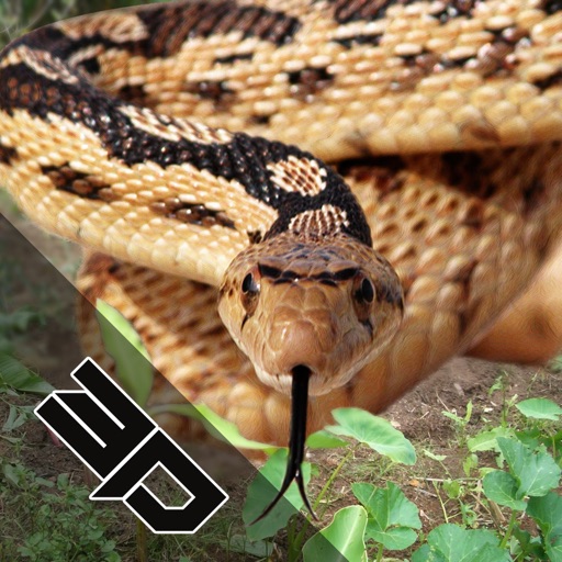 Deadly Anaconda Snake Simulator 3D Icon