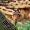Deadly Anaconda Snake Simulator 3D