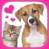 Doggies & Kitties : Free Logic Game for Children