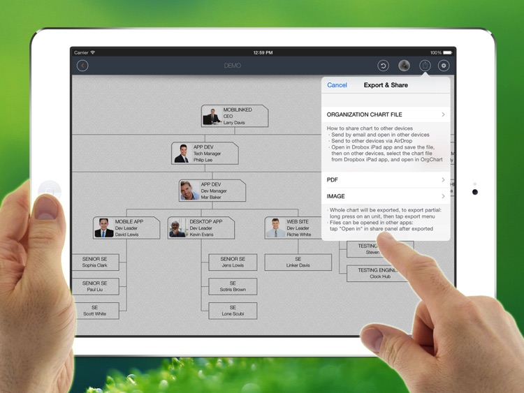OrgChart - Organization Chart screenshot-4