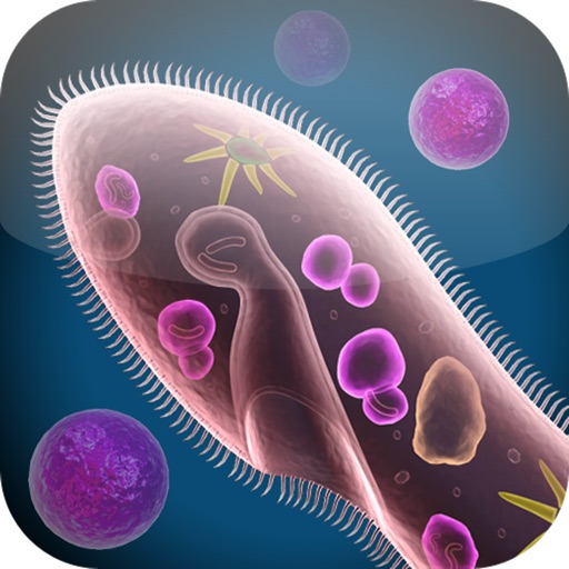 Cell and Cell Structure iOS App