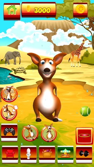 Talking Kangaroo(圖4)-速報App