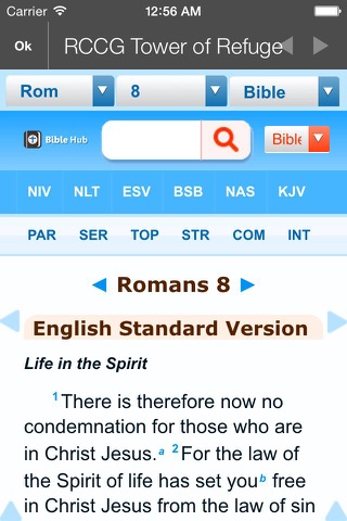 RCCG Tower of Refuge screenshot 4