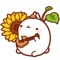 Molang Rabbit - Emoji - Emoticons - Stickers