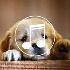 Puppy Sounds:Calming Music For Relaxation & Sleep