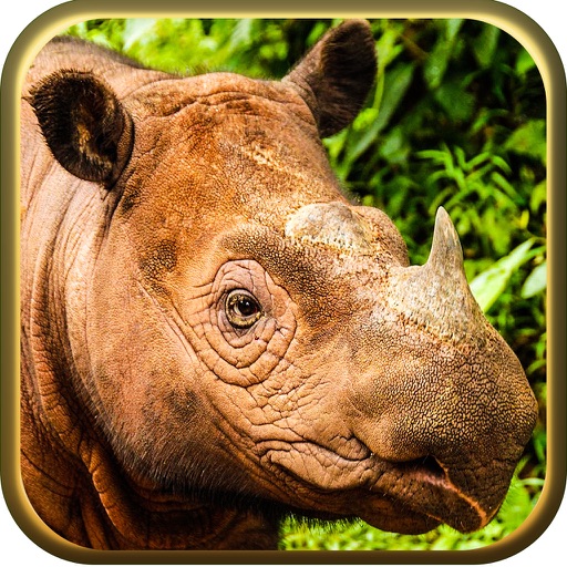 2016 Rhinoceros hunting Deadly Challenge icon