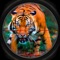 African Wild Tiger Hunt 2016 Pro - Safari Hunter