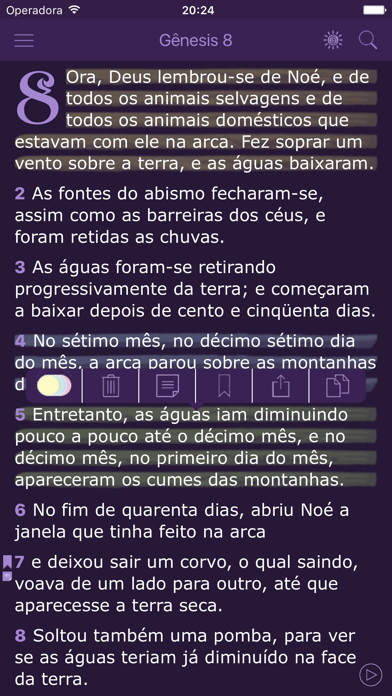 Bíblia Católica da Mulher em Português - Catholic Women's Bible in Portuguese screenshot 3