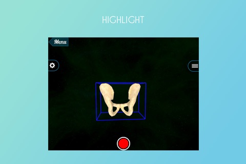 Human Pelvis 3D screenshot 3