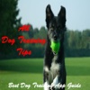 All Dog Training Tips HD