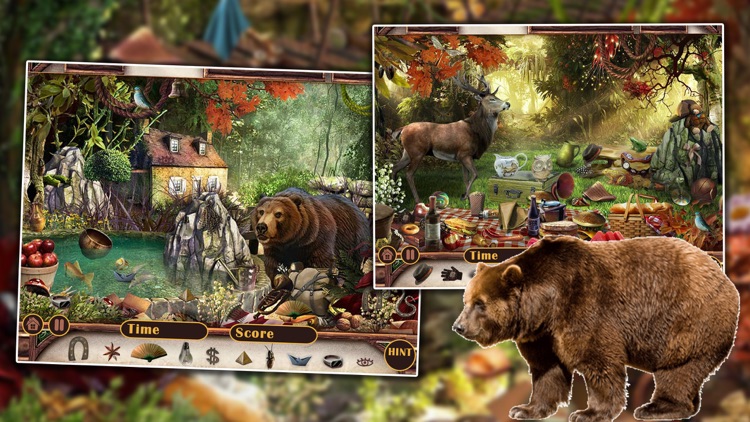 Hidden Object Animal Story screenshot-3