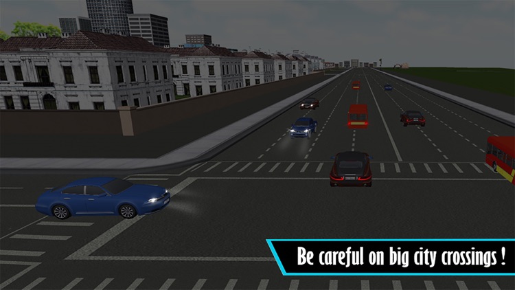 City Driving School Car Parking Simulator 2016 screenshot-4