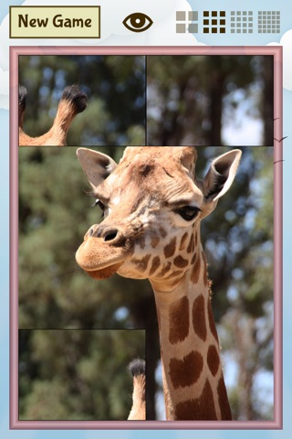 Animal Slide Image Puzzle screenshot 2