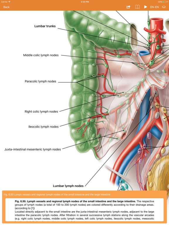 Sobotta Anatomy Atlasのおすすめ画像5