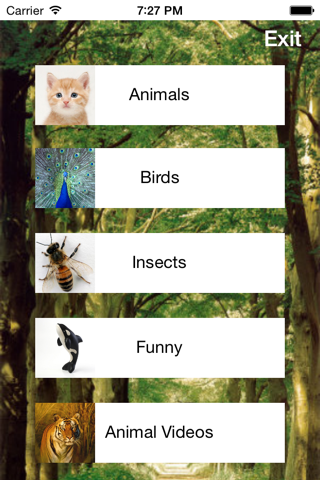 All Animals Sounds screenshot 4