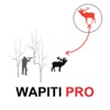 Wapiti Hunting Strategy - Wapiti Hunter Plan