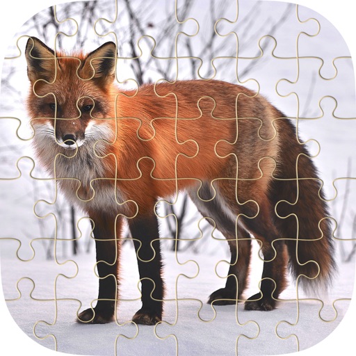 Animals Jigsaw Puzzles Words Learning Icon