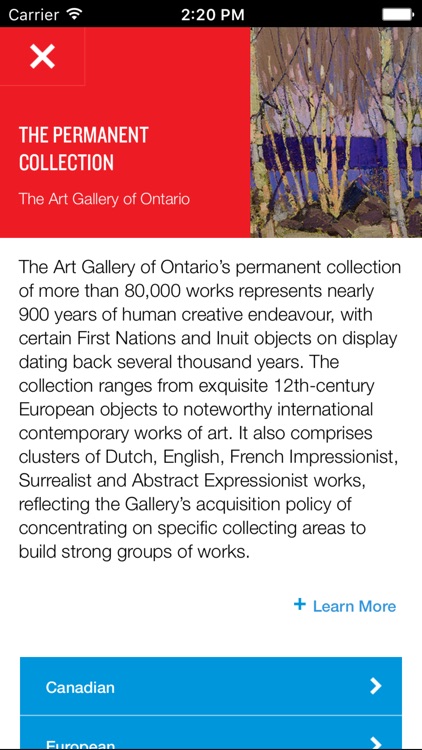 Art Gallery of Ontario screenshot-3