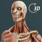 Visual Anatomy 3D | Human
