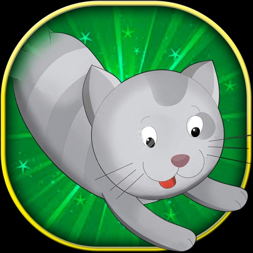 My Crazy Jumpy Tom Cat - Game for Kids, Boys and Girls Icon