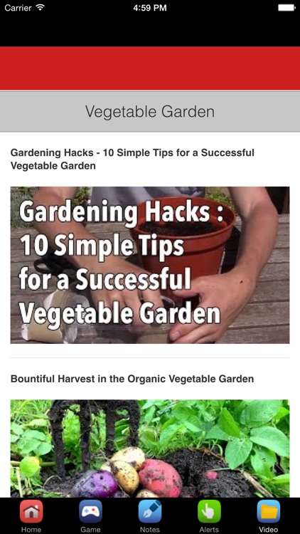 Vegetable Garden Design & Vegetable Gardening Tips screenshot-4