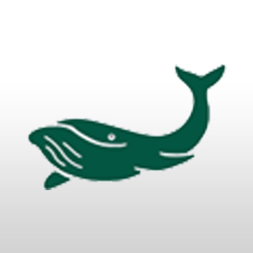 Whelan Scott Asset Management