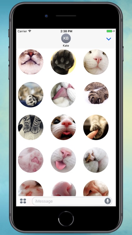 Cat Tenderness! Stickers