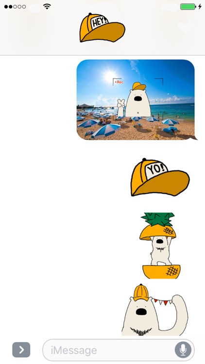 Polar Bear faces sticker