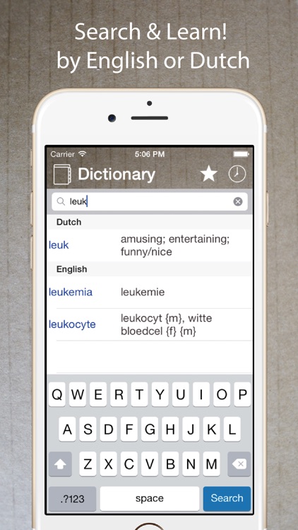 Dutch English Dictionary Lite