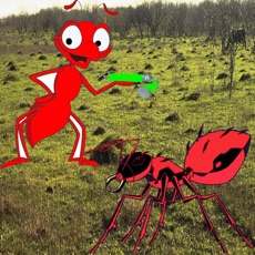 Activities of Ant Attack - Attack of the Fire Ants!