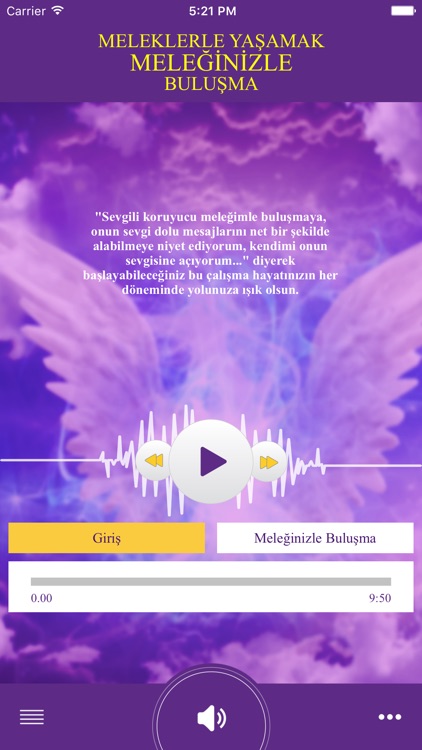 Koruyucu Melek