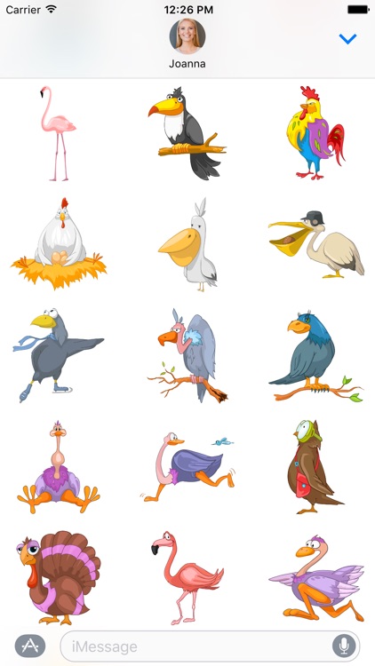 Birdy Stickers