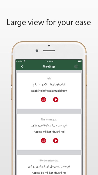 Learn Urdu Language App screenshot 4
