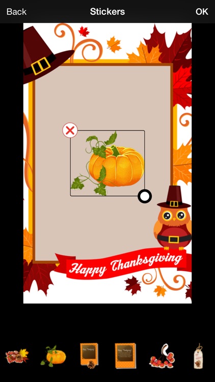 Thanksgiving Invitation Cards Maker