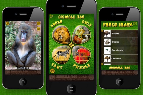 Animals 360 screenshot 2