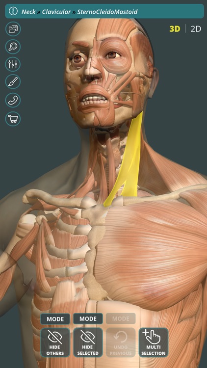 Visual Anatomy 3D | Human
