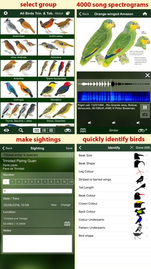 All Birds Trinidad and Tobago - a field guide(圖5)-速報App