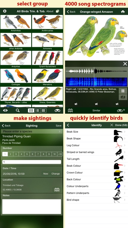 All Birds Trinidad and Tobago - a field guide screenshot-4