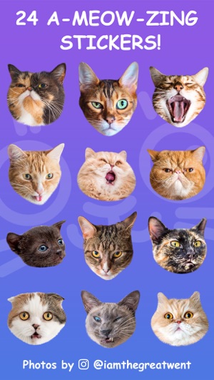 Cat Stamp! Cute Stickers of Cats(圖5)-速報App