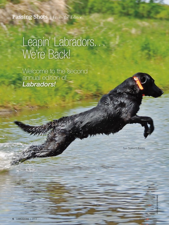 Labrador Magazine