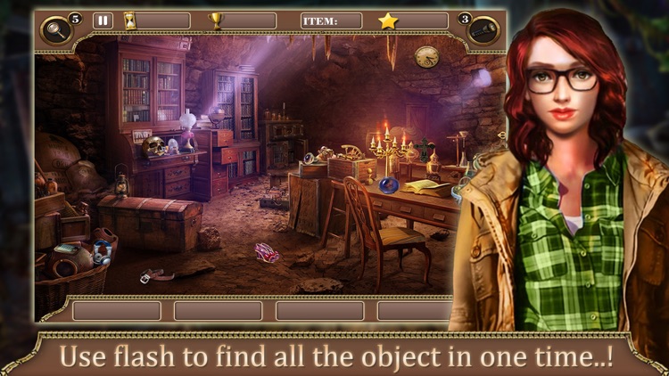 Hidden Object : Vintage Treasures Mystery Pro