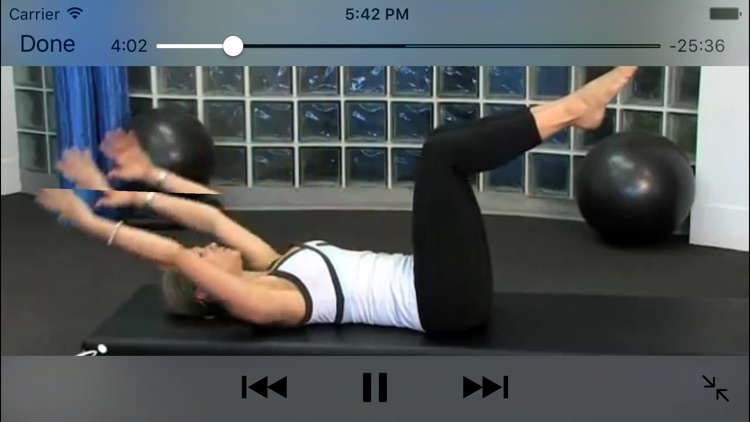 Pilates Workouts Master Class screenshot-4