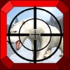 Wild Bear Hunting Simulation Pro