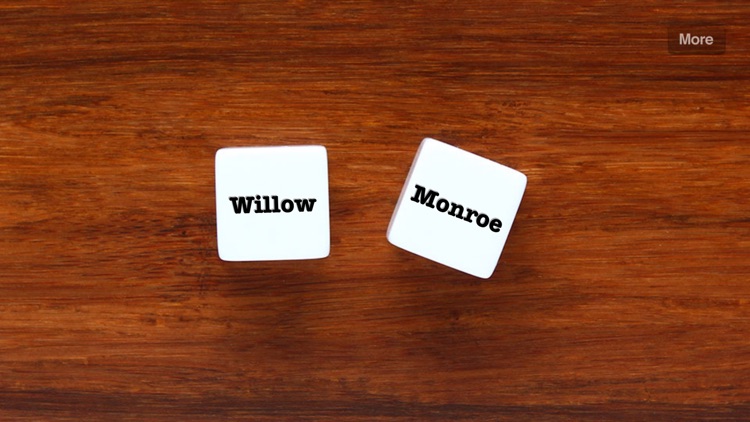 Name Dice - random names for writers